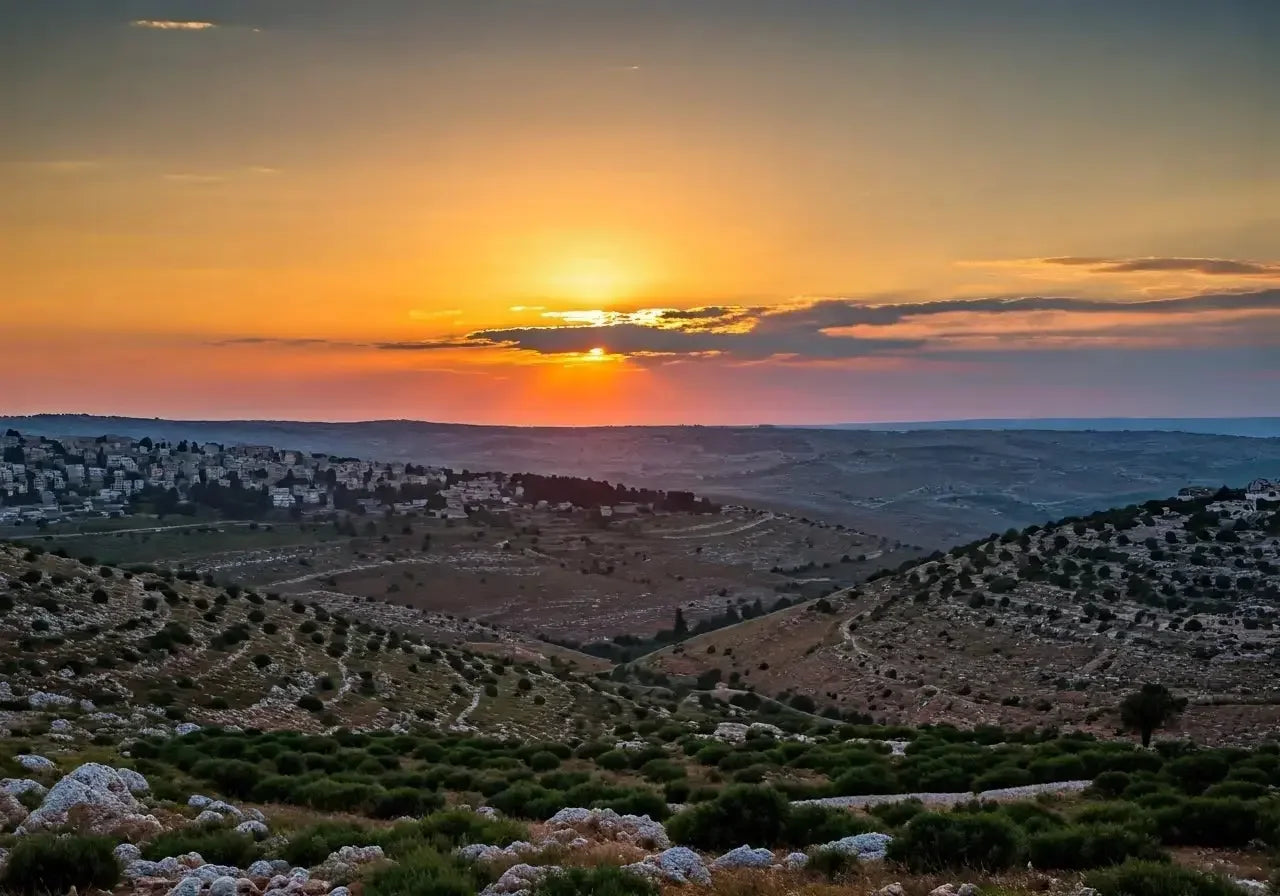 7 Things You Should Never Say or Do To a Palestinian - Palestinian Elegance