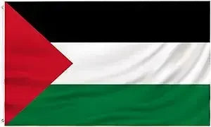Durable Palestine flag 3x5 FT by Palestinian Elegance with red triangle and black white green stripes