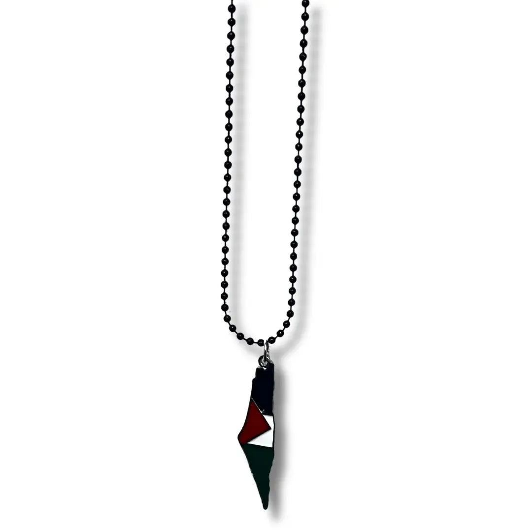 Handmade Palestinian silver necklace with map pendant featuring the Palestinian flag colors
