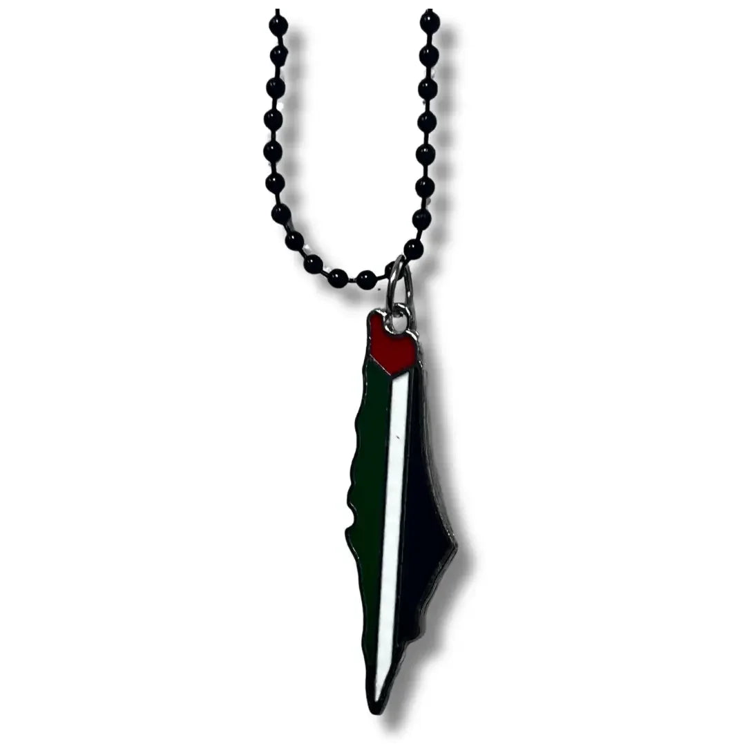 Handmade Palestinian silver necklace with a pendant shaped like the map of Palestine in red green white and black